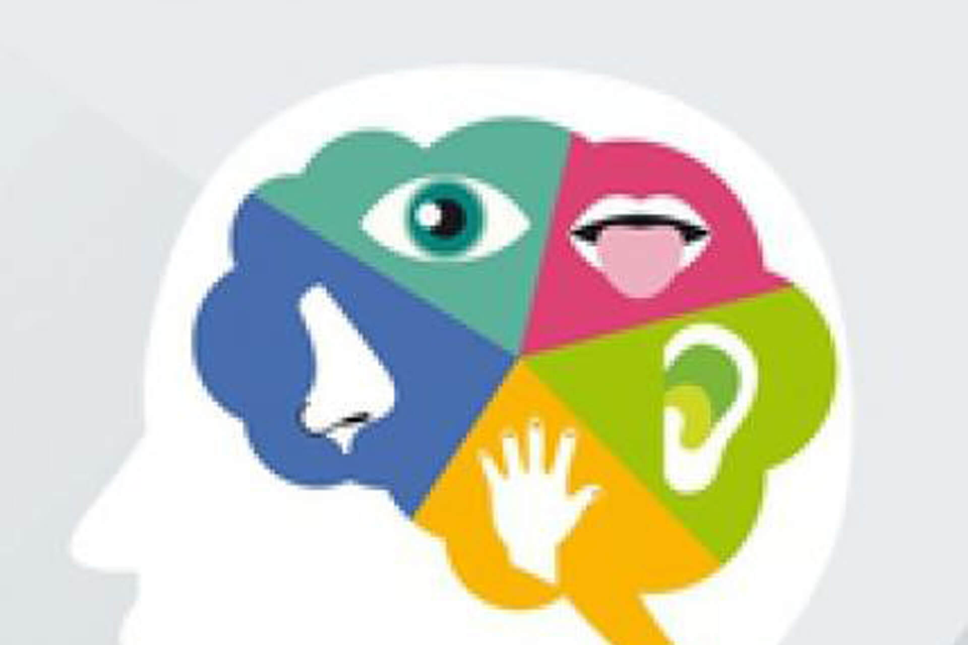 A la découverte des cinq sens_Double Je